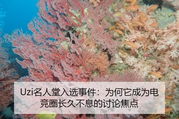 Uzi名人堂入选事件：为何它成为电竞圈长久不息的讨论焦点
